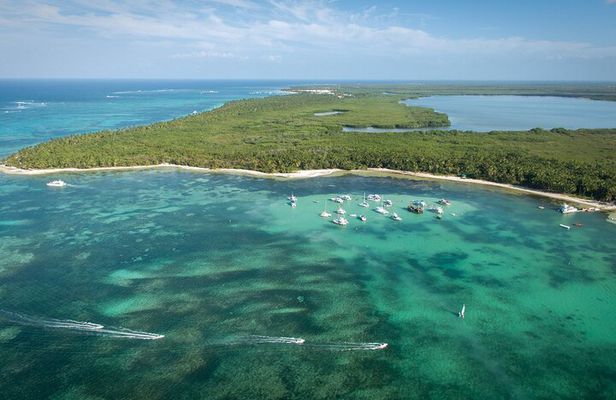 Small Group Punta Cana Snorkeling with Premium Open Bar