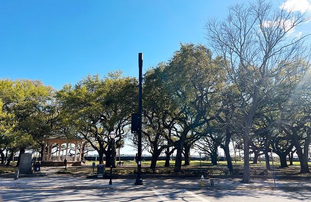 Charleston in Comfort: A Small Group City Tour