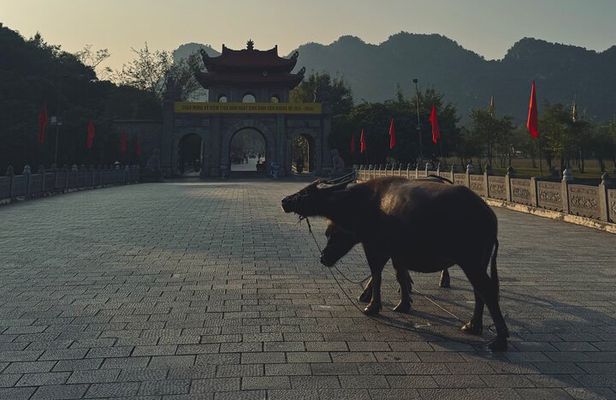 Ninh Binh Day Escape from Hanoi: Local Life, Connection & Tales