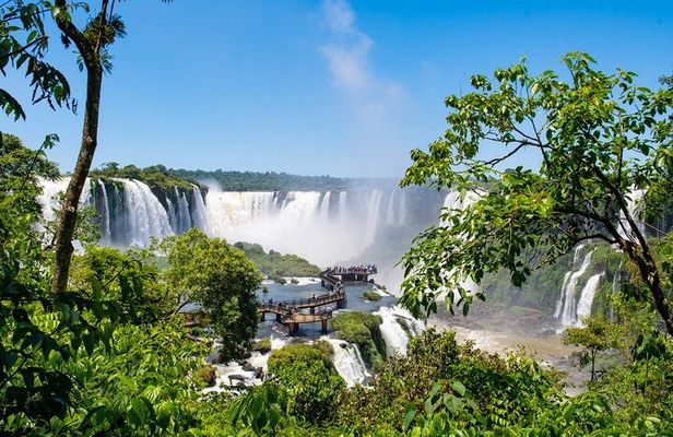 Shared Brazilian Falls Experience with Bird Park Walkthrough