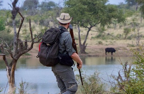 Half-Day Walking Safari in Greater Kruger National Park