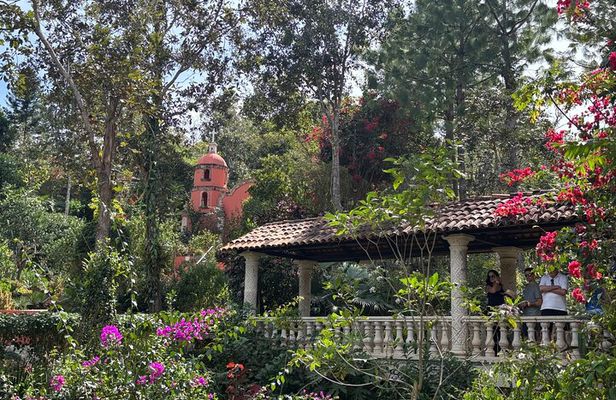 Private Tour: Botanical Garden, Petroglyphs & Mexican Food