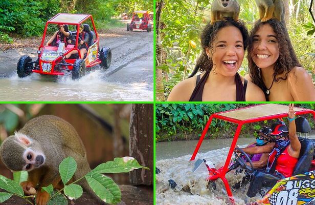 Double Adventure: Monkeys Plus Drive a 4x4 Buggy
