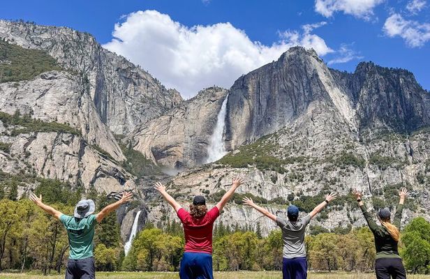 Ultimate Yosemite: Private Tour + Lunch