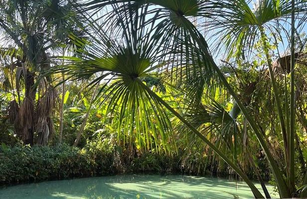3-Day Tour to the Natural Paradise of Jalapão