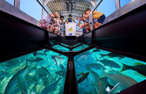 “See the Ocean Without Getting Wet – Glass Bottom Boat Tour