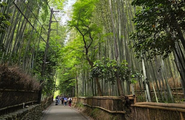 Arashiyama Half Day Tour