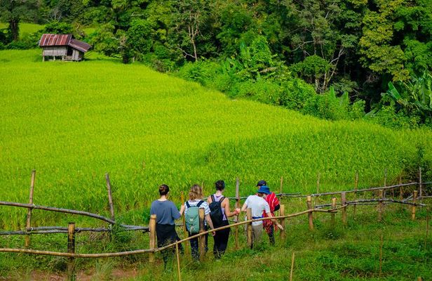 Full Day Doi Inthanon and Pha Dok Siew Trek from Chiang Mai