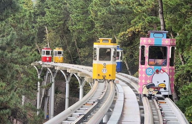 Busan private tour