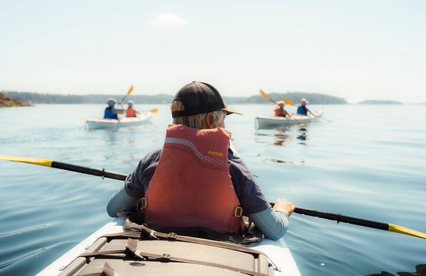3 Hour Kayaking Tours from Friday Harbor
