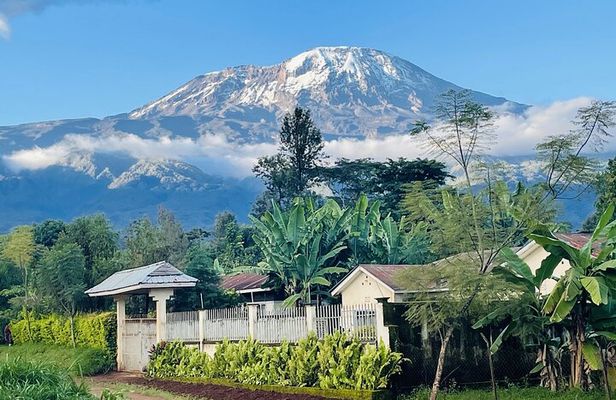 Machame Cultural Tour: Chagga Tradition, Songs, Cuisine&Community