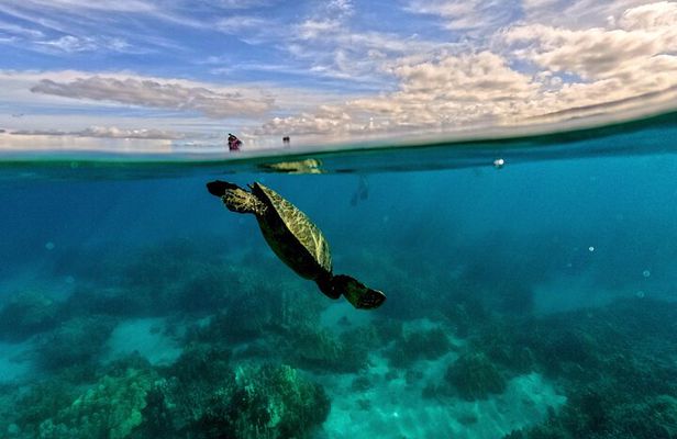 2 Hour Tandem Clear Kayak Rental (9am-11am)