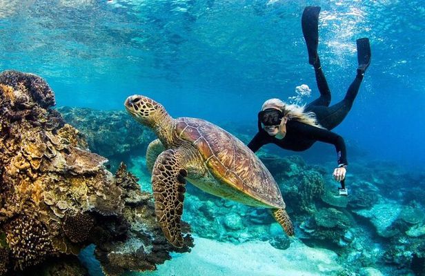  Bali Blue Lagoon Snorkeling with Ubud Tropical River Pool Bar