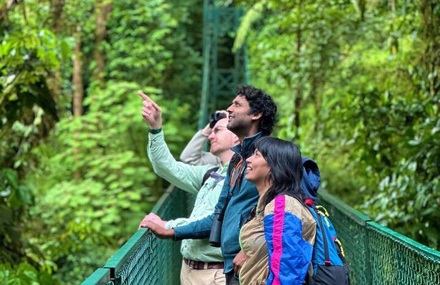Hanging Bridges & Wildlife: Monteverde Cloud Forest Experience