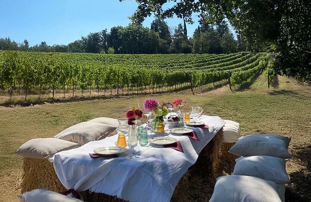 Tasting with welcome Aperitivo in the vineyard of organic wines