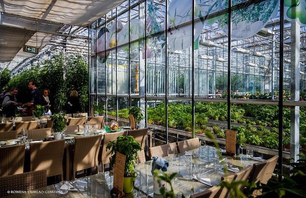 Private Golden Circle & Blue Lagoon Tour with Fridheimar Farm