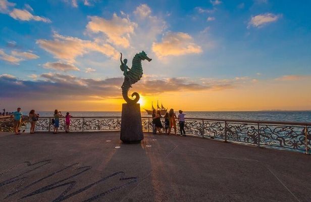 Puerto Vallarta City Night Tour