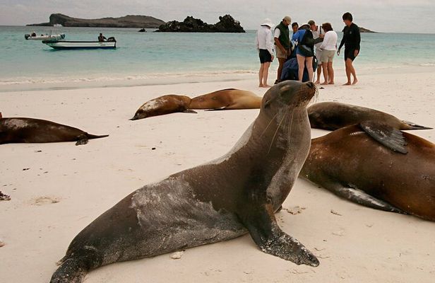 5 Days Tour to Explore Santa Cruz ,Isabela and Santa Fe Galapagos