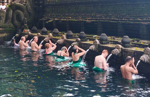 Ubud: Monkey Forest, Jungle Swing, Rice Terrace, Tample, Coffee