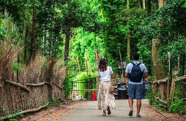 Kyoto Guided Tour of Bamboo Forest, Temple and more