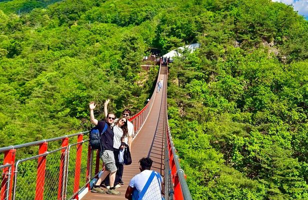 DMZ: Explore 3rd Tunnel & Nature Walk on Suspension Bridge