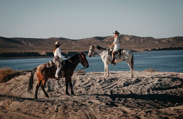 Beach and Desert Scenic Horseback Ride in Baja California Sur