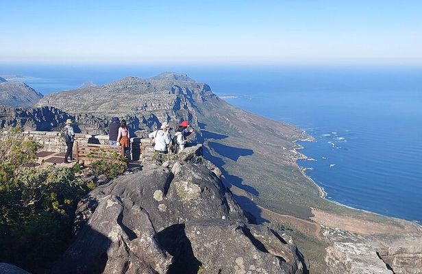 Cape Town: Cape of Good Hope Private tour