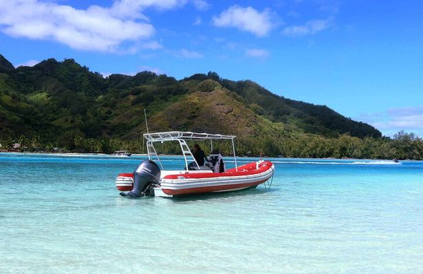 Private excursion Half day Moorea Discovery of the lagoon