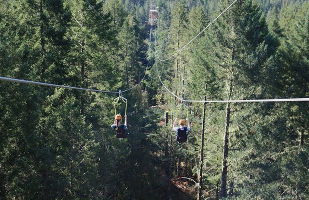 The Big Zip Experience