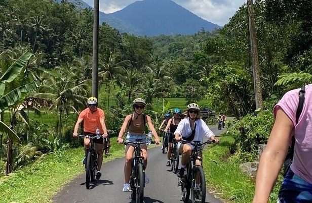 Bali Downhill Cycling Kintamani to Ubud with Private Transfer