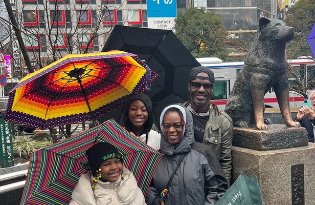 Tokyo Private Walking Tour Hidden Gems and Icons