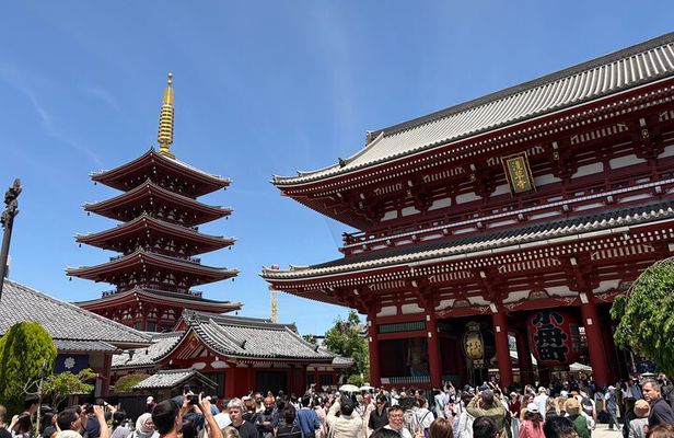 Tokyo Private Half-Day Tour by Car with Local Guide