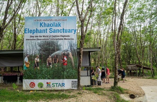 Evening Guide Tour to Khaolak Elephant Sanctuary Free 1 Cocktail
