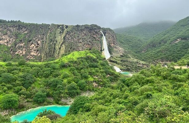Salalah Mountain Safari, Wadi Darbat, Beach, Dunes , Camels