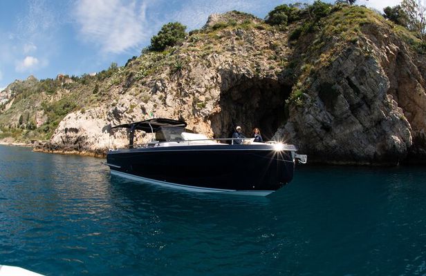 2 Hour Sunset Dolphin Watching Shared Tour in luxury boat