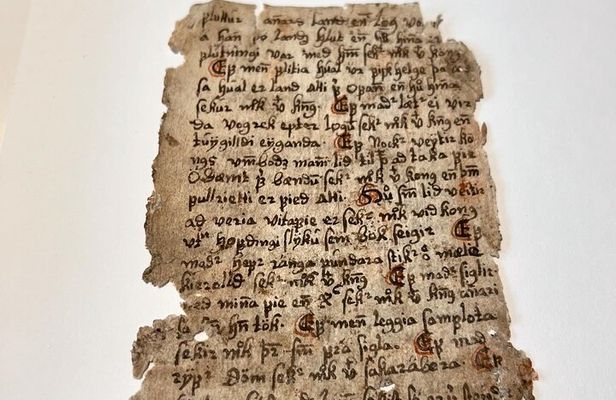 Old Icelandic Books Experience