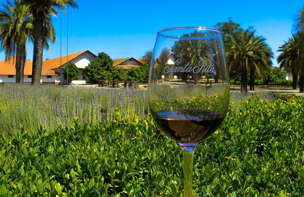 Half Day Santa Rita Vineyard Tour