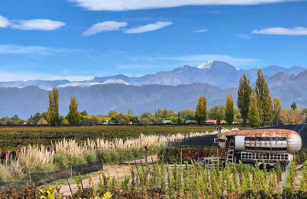 WINERIES DAY with Private Driver and Michelin Guide Lunch