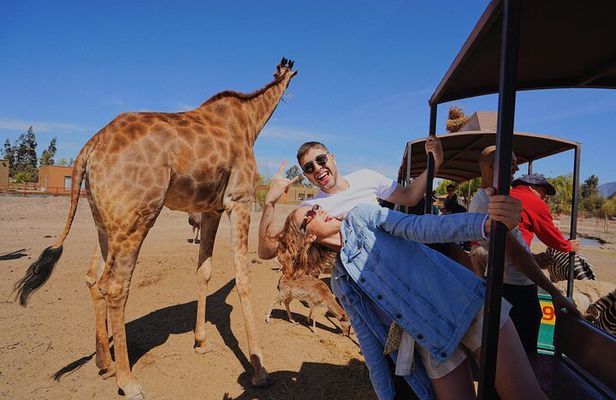 Safari Park