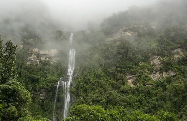 Private Tour to La Chorrera Waterfall