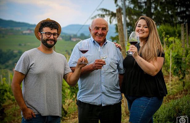Wine tasting Langhe and Monferrato