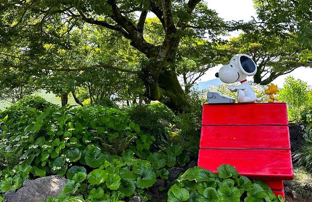 Small Group Tour for Jeju BTS & K-drama including Snoopy Garden