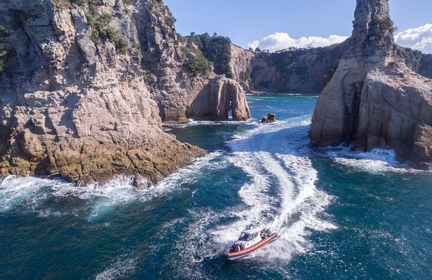 Cathedral Cove Scenic Cruises Whitianga