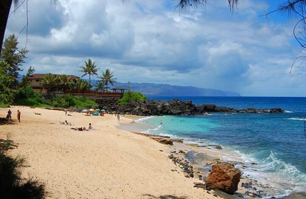 Oahu Private Tour North Shore, Waimea Falls and Dole Plantation