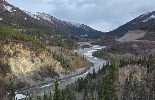 Denali National Park Shuttle