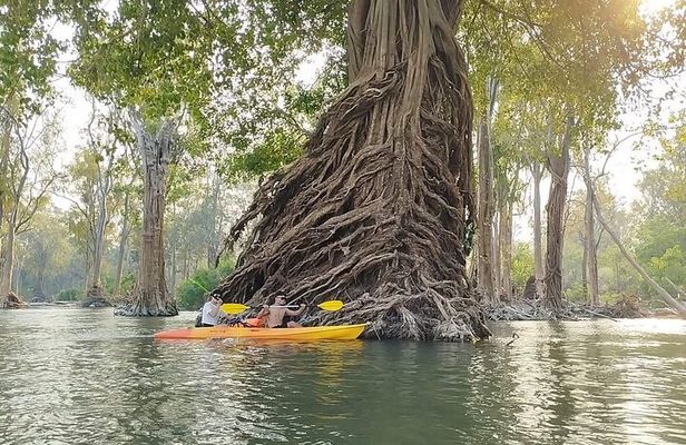 Beng Mealea Temple Adventure & Kompong Kleang Sunset Serenity