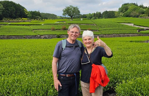 Mount Fuji E-Bike Tour: Explore Nature and History