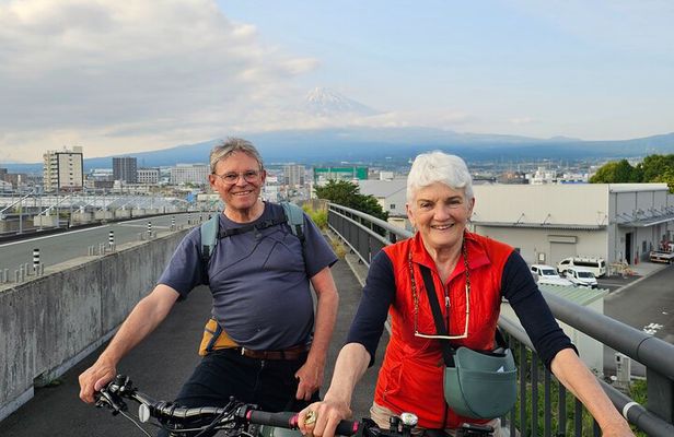 Mount Fuji E-Bike Tour: Explore Nature and History