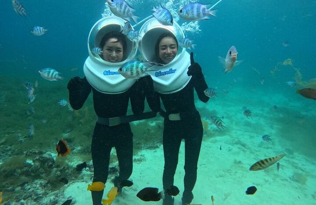 Step Into Ishigaki's Underwater Paradise！