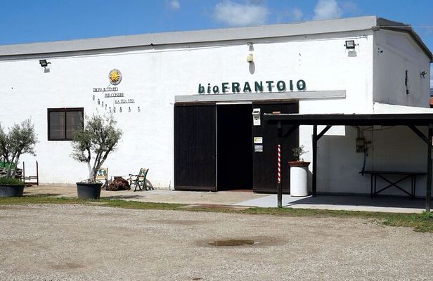 Cagliari Olive Oil Farm & Tasting (Since 1600, 20 Minutes Away)